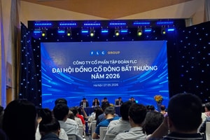FLC trình kế hoạch tái cấu trúc toàn diện, lộ tin năm 2025 đạt 2.500 tỷ đồng doanh thu
