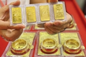 Vay vốn bằng vàng, một doanh nghiệp thừa nhận mất khả năng thanh toán, 17 năm vẫn không trả được nợ