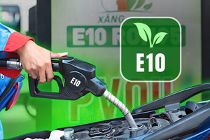 Vì sao không bán song song xăng E10 và xăng khoáng? Bộ Công thương lên tiếng