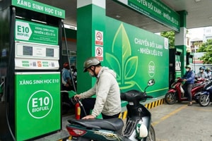 Chủ tịch Hiệp hội Xăng dầu Việt Nam: Xăng E5, E10 không gây hại động cơ nếu sử dụng đúng cách