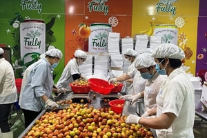 3 thị trường khó tính nhất thế giới chốt đơn gần 43.000 tấn 'quả tiến vua' Việt Nam
