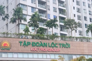 Ngân hàng thu giữ khu đất gần 1.000m² tại trung tâm TP.HCM của Tập đoàn Lộc Trời