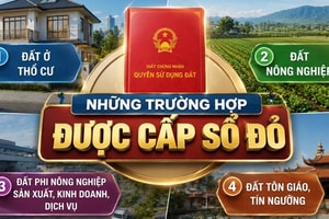 Đang sử dụng đất nhưng chưa có sổ đỏ: Trường hợp nào sẽ được cấp giấy chứng nhận quyền sử dụng đất trong năm 2026?