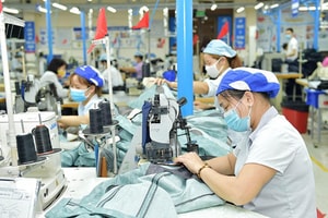 Gần 130.000 doanh nghiệp rút lui khỏi thị trường trong 5 tháng đầu năm, số giải thể tăng gấp đôi