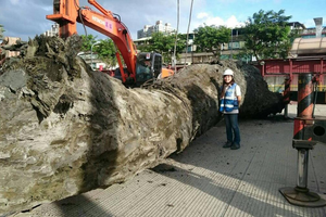 Công nhân xây dựng phát hiện vật thể tỏa mùi thơm dài hơn 30m, chính quyền lập tức phong tỏa hiện trường