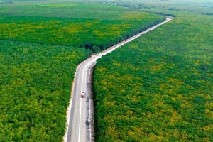Xã sắp lên phường của TP. HCM: Sở hữu hồ nhân tạo rộng gấp 50 lần Hồ Tây và tuyến đường chạy xuyên rừng cao su