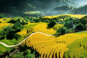 Không chỉ Trung Quốc, Việt Nam cũng có 'ngôi làng trên mây' lọt top 6 đẹp nhất châu Á