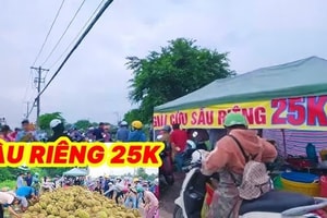 Cảnh báo loại sầu riêng 'giải cứu' giá rẻ như cho, bán đổ đống tại TP Hồ Chí Minh