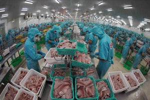 Nhà máy trên khắp Đông Nam Á bắt đầu đóng cửa và sa thải hàng loạt, chuyện gì đang xảy ra?