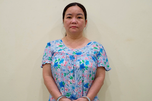 Tài khoản đều đặn nhận 30-90 triệu đồng mỗi ngày, Lâm Bích Dung và 16 đồng phạm bị khởi tố