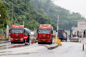 Hàng Trung Quốc quá cảnh tại Việt Nam: Doanh nghiệp cần cập nhật ngay quy định mới này để tránh bị giữ lại cửa khẩu