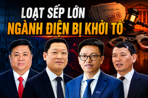 Chưa đầy 1 tháng, 13 lãnh đạo cấp cao của nhiều doanh nghiệp điện đã bị khởi tố