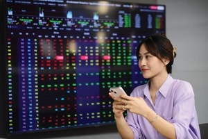 Đề xuất doanh nghiệp không khắc phục được điều kiện đại chúng sau 1 năm sẽ phải làm thủ tục hủy tư cách theo quy định