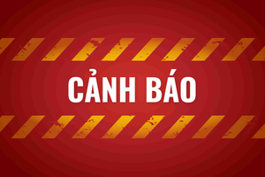 Cục Thuế cảnh báo 5 thủ đoạn gian lận hoàn thuế