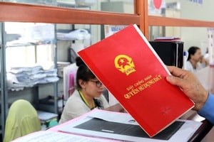 Số lượng sổ đỏ cấp lần đầu ở TPHCM giảm mạnh