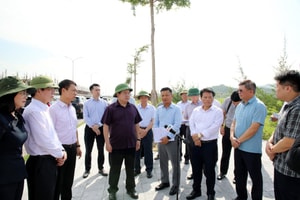 Dự án lớn của Tập đoàn FLC chậm tiến độ nhiều năm, lãnh đạo tỉnh lập tức vào cuộc