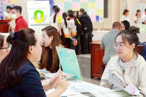Lý do Sàn Giao dịch việc làm Quốc gia tại TPHCM 'ế khách'
