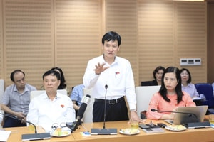 Đề xuất cấp xe đạp cho trưởng thôn, cho xã đấu giá tài sản công và làm bể bơi thu phí