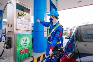 Những ai đang đi loạt xe này của Suzuki phải đặc biệt chú ý trước khi đổ xăng E10