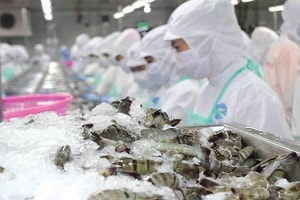 Chuyên gia: Tăng trưởng GDP quý II có thể đạt 8,2 - 8,5%, thậm chí tiến sát 9%