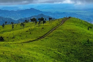 Tổ chức nhiều mũi trinh sát, huy động flycam và chó nghiệp vụ truy tìm nghi phạm lẩn trốn trong rừng