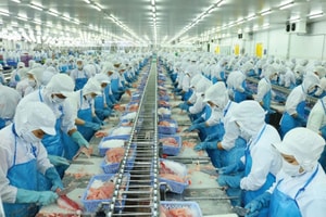 778 công ty thủy sản Việt Nam được cấp phép xuất khẩu vào nền kinh tế hơn 970 tỷ USD