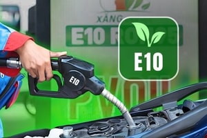 Xăng E10 mở ra thị trường 20.000 tỷ đồng, hơn một nửa có thể chảy về túi nông dân