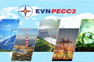 EVNPECC3 (TV3) có biến động nhân sự sau tin Chủ tịch HĐQT và Tổng Giám đốc bị khởi tố