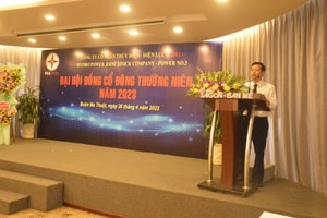 Giữa lùm xùm của ngành điện, Chủ tịch công ty điện quy mô 420 tỷ đồng bất ngờ nộp đơn xin từ nhiệm