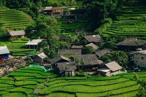 Chiêm ngưỡng ngôi làng nổi tiếng Việt Nam được vinh danh 'đẹp nhất châu Á': Cảnh sắc đẹp như tranh vẽ, cách Hà Nội hơn 300km