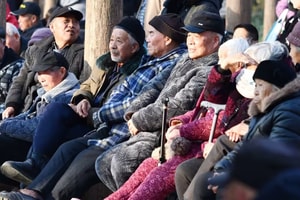 Chiêu trò lừa đảo nhắm vào người cao tuổi sống một mình, cô đơn nhưng có tài chính: Hơn 100 người đã sập bẫy, bị chiếm đoạt hàng trăm tỷ đồng