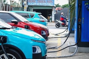 Ô tô điện tăng trưởng như vũ bão tại Việt Nam, xe xăng sắp hết thời?