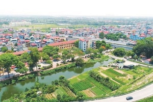 Hà Nội thu hồi đất của hơn 1.300 hộ dân, nhường chỗ làm dự án 13.000 tỷ kết nối cây cầu dây văng vượt sông Hồng