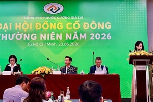 Thiếu tiền trả bà Trương Mỹ Lan, Quốc Cường Gia Lai (QCG) vẫn kiên quyết không nhận vốn từ đối tác, không vay thêm ngân hàng