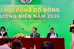 CEO Quốc Cường Gia Lai: 2026 là năm thảm họa của bất động sản, dồn lực lấy lại dự án Phước Kiển