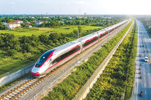 Kích hoạt cơ chế đặc biệt tại dự án đường sắt cao tốc Bắc - Nam, hàng loạt gói thầu sắp có chủ