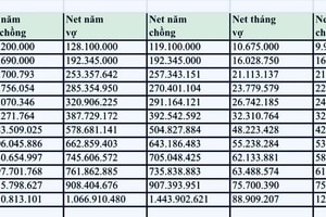 Từ mức lương 10 triệu đồng, cặp vợ chồng 9X chia sẻ hành trình chạm mốc thu nhập tiền tỷ