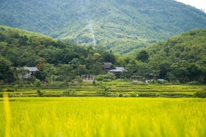 'Thiên đường giáp Lào' sở hữu cảnh sắc hoang sơ hiếm có, có đỉnh núi được ví như nóc nhà của xứ Thanh