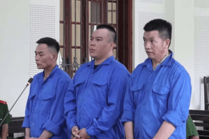 Tuyên án tử hình đối với Lô Văn Tỵ, 61 tuổi
