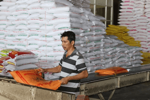 Quốc gia nhập khẩu gạo nhiều nhất thế giới dễ bỏ lỡ mục tiêu 10 tỷ USD với Việt Nam