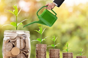 Lãi giảm 50%, Dragon Capital Việt Nam vẫn tạm ứng cổ tức bằng tiền tỷ lệ 30%