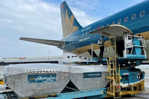 Một doanh nghiệp hàng không dự trả cổ tức tiền mặt tỷ lệ 100%, hé mở kế hoạch tham gia dự án sân bay Gia Bình