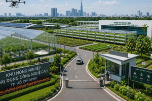 Việt Nam sẽ có thêm 7 khu nông nghiệp ứng dụng công nghệ cao rộng hơn 1.700ha, tọa lạc tại TP giàu nhất cả nước