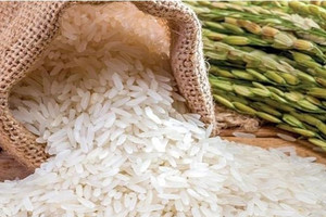 Gạo Việt tăng 41 USD/tấn, vượt mặt đối thủ lớn nhất Đông Nam Á