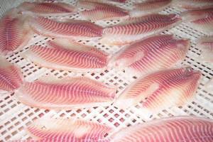 Một 'lộc biển' của Việt Nam bất ngờ bứt phá: Xuất khẩu tăng hơn 100%, thị trường lớn đua nhau mua
