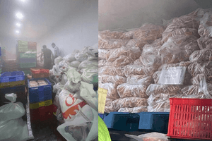 Đột kích công ty của Giám đốc L.T.A. sinh năm 1989, tịch thu hàng trăm túi nilon không bao bì, nhãn mác