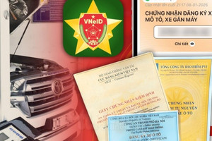 Tất cả chủ xe ô tô cần kiểm tra và làm ngay điều này nếu không muốn bị phạt 24.000.000 đồng