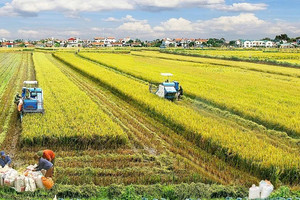 Chính phủ gia hạn nộp khoảng 125.000 tỷ đồng tiền thuế và tiền thuê đất năm 2026