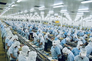 'Vua tôm' Minh Phú (MPC) khánh thành nhà máy chế biến thuỷ sản 1.500 tỷ đồng, công suất 35.000 tấn/năm