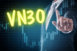 Dự báo tái cơ cấu VN30: Loạt quỹ ETF gần 10.000 tỷ đồng mạnh tay mua MCH, STB, MWG...